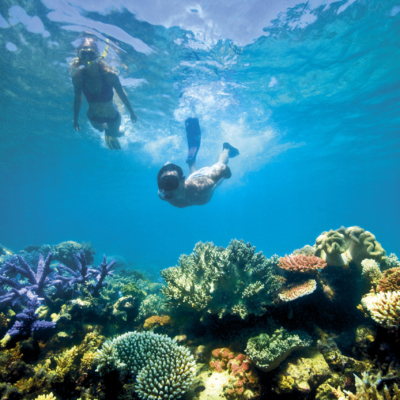 Lizard Island snorkelling